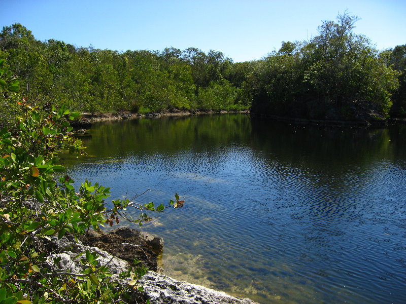 DagnyJohnsonKeyLargoHammockBotanicalStatePark035