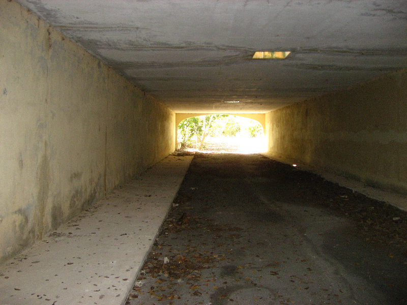 Dagny-Johnson-Key-Largo-Hammock-Botanical-State-Park-040