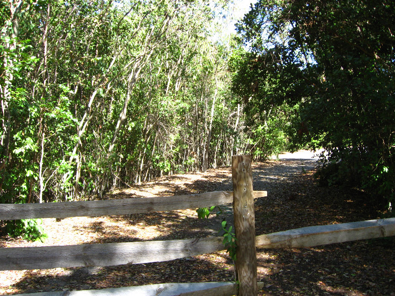 Dagny-Johnson-Key-Largo-Hammock-Botanical-State-Park-042