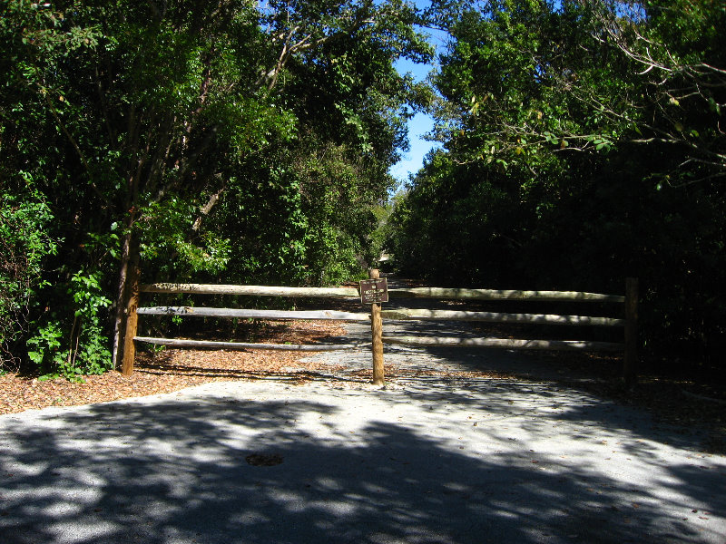 Dagny-Johnson-Key-Largo-Hammock-Botanical-State-Park-043