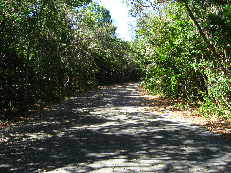 Dagny-Johnson-Key-Largo-Hammock-Botanical-State-Park-044
