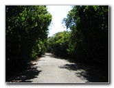 Dagny-Johnson-Key-Largo-Hammock-Botanical-State-Park-005
