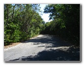 Dagny-Johnson-Key-Largo-Hammock-Botanical-State-Park-007