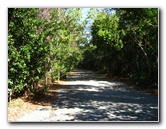 Dagny-Johnson-Key-Largo-Hammock-Botanical-State-Park-008