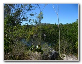 Dagny-Johnson-Key-Largo-Hammock-Botanical-State-Park-016