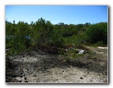 Dagny-Johnson-Key-Largo-Hammock-Botanical-State-Park-021