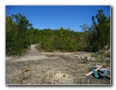 Dagny-Johnson-Key-Largo-Hammock-Botanical-State-Park-022