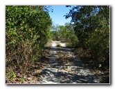 Dagny-Johnson-Key-Largo-Hammock-Botanical-State-Park-029