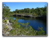 Dagny-Johnson-Key-Largo-Hammock-Botanical-State-Park-030