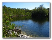 Dagny-Johnson-Key-Largo-Hammock-Botanical-State-Park-035