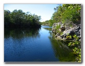 Dagny-Johnson-Key-Largo-Hammock-Botanical-State-Park-036