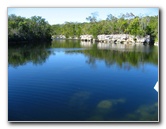 Dagny-Johnson-Key-Largo-Hammock-Botanical-State-Park-037