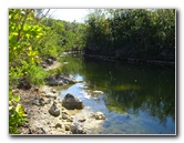 Dagny-Johnson-Key-Largo-Hammock-Botanical-State-Park-038