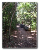 Dagny-Johnson-Key-Largo-Hammock-Botanical-State-Park-041