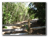 Dagny-Johnson-Key-Largo-Hammock-Botanical-State-Park-042