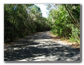 Dagny-Johnson-Key-Largo-Hammock-Botanical-State-Park-044