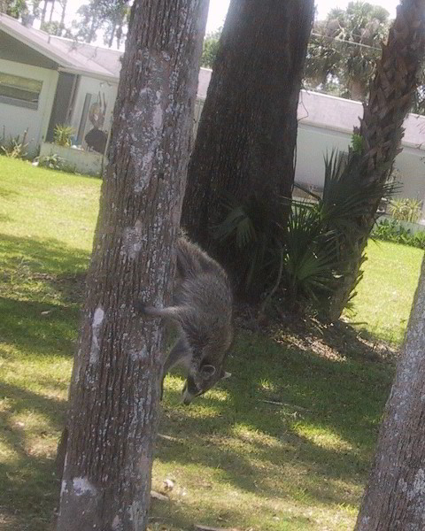 Daytona-Beach-Golf-Club-003