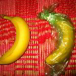 Debbie Meyer's GreenBags Review