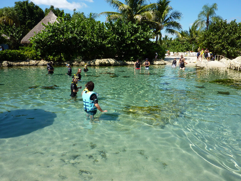 Discovery-Cove-Theme-Park-Orlando-FL-001