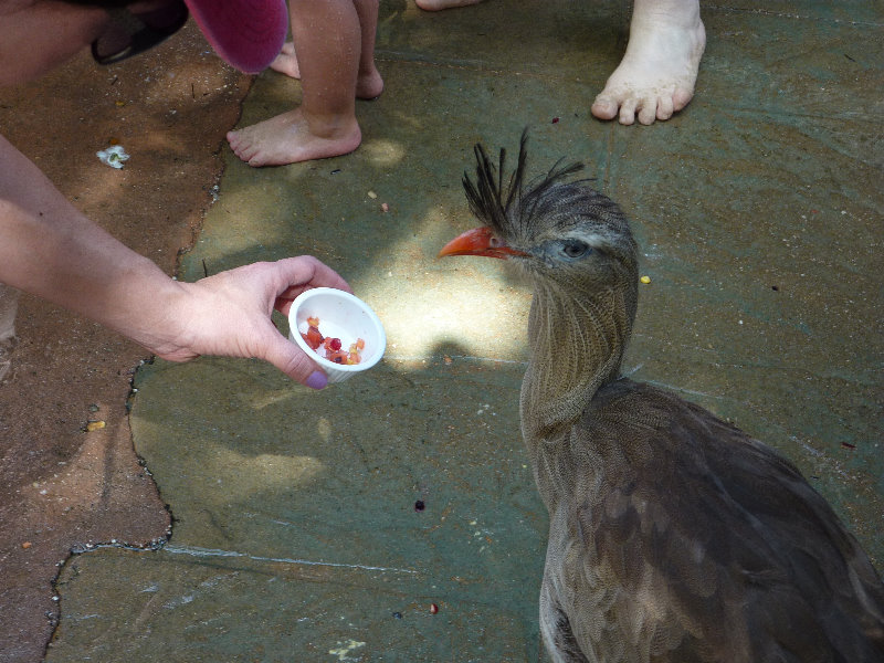 Discovery-Cove-Theme-Park-Orlando-FL-019