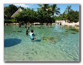 Discovery Cove - Orlando, FL