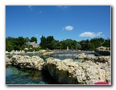 Discovery-Cove-Theme-Park-Orlando-FL-002