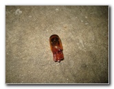 Dodge-Avenger-Headlight-Bulbs-Replacement-Guide-037