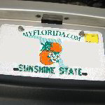 2013-2016 Dodge Dart License Plate Light Bulb Replacement Guide