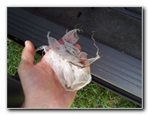 Dodge-Grand-Caravan-Jammed-Automatic-Sliding-Side-Door-Repair-Guide-008