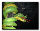 Dr-Feelgoods-Bar-West-Palm-Beach-002