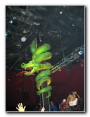 Dr-Feelgoods-Bar-West-Palm-Beach-004