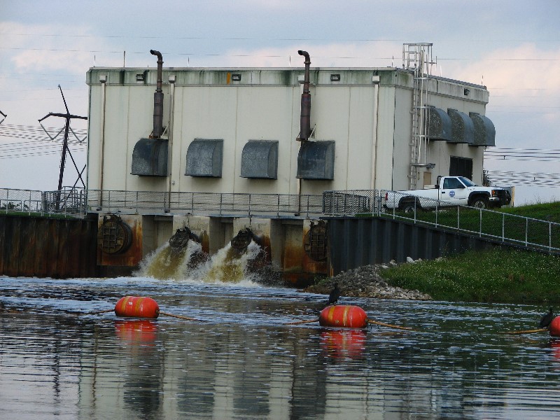 Everglades-Holiday-Park-Airboat-Ride-010