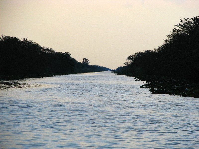 Everglades-Holiday-Park-Airboat-Ride-012