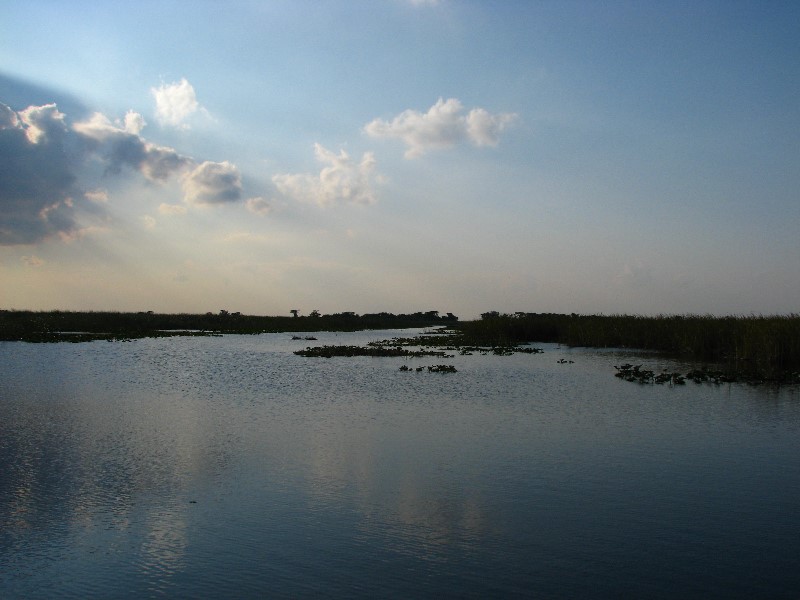 Everglades-Holiday-Park-Airboat-Ride-014