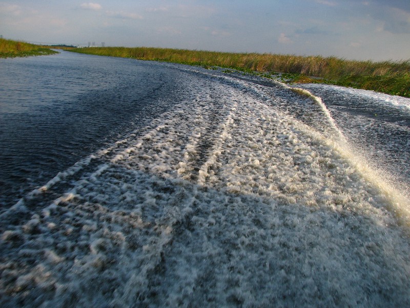 Everglades-Holiday-Park-Airboat-Ride-015