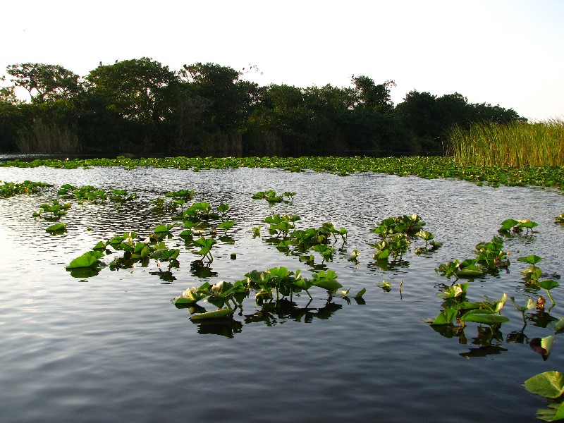 Everglades-Holiday-Park-Airboat-Ride-017