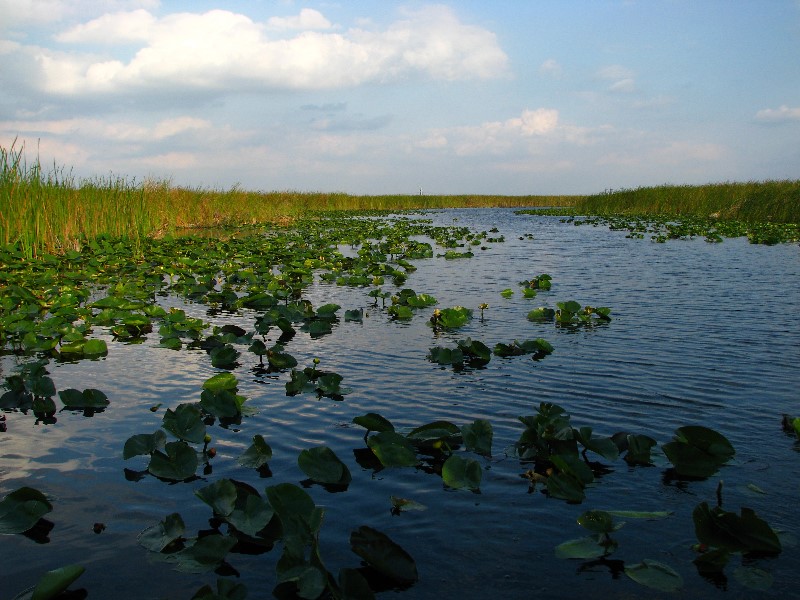 Everglades-Holiday-Park-Airboat-Ride-019