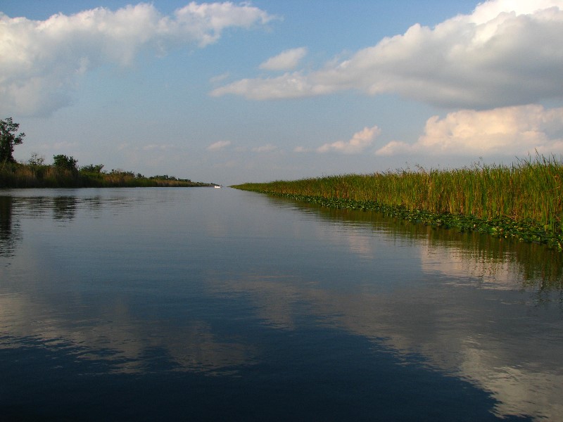 Everglades-Holiday-Park-Airboat-Ride-023