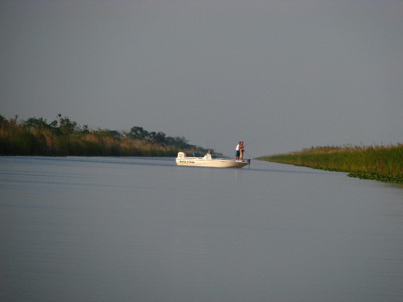 Everglades-Holiday-Park-Airboat-Ride-024