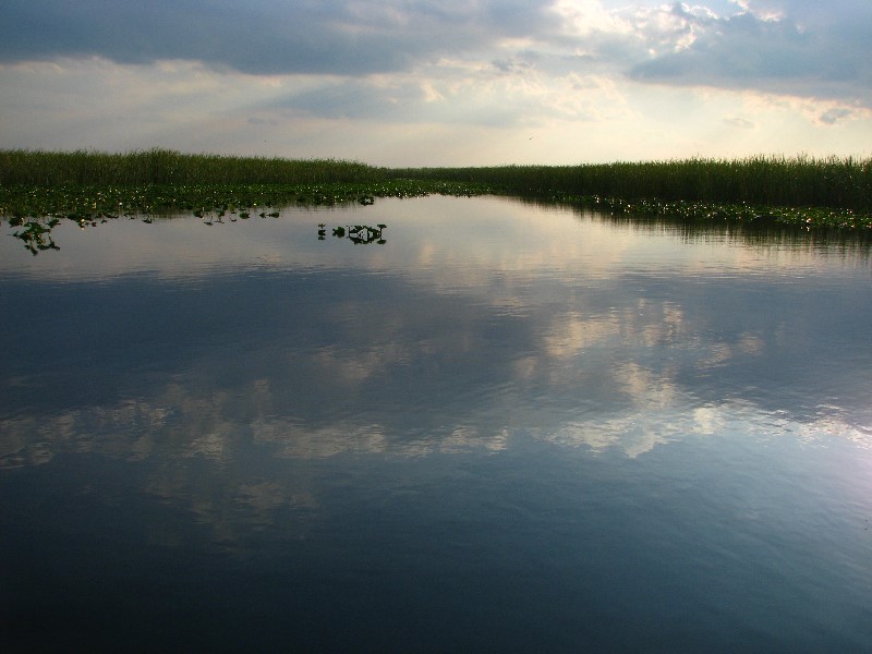 Everglades-Holiday-Park-Airboat-Ride-033