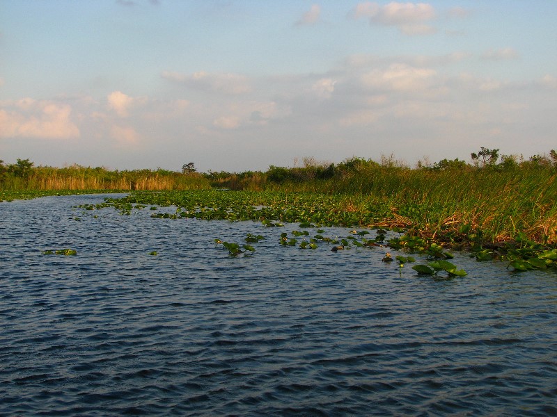 Everglades-Holiday-Park-Airboat-Ride-084