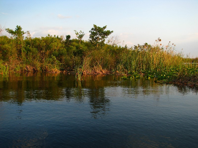 Everglades-Holiday-Park-Airboat-Ride-085