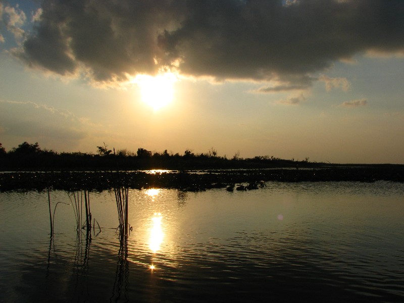 Everglades-Holiday-Park-Airboat-Ride-095