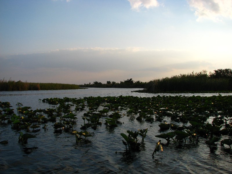 Everglades-Holiday-Park-Airboat-Ride-096