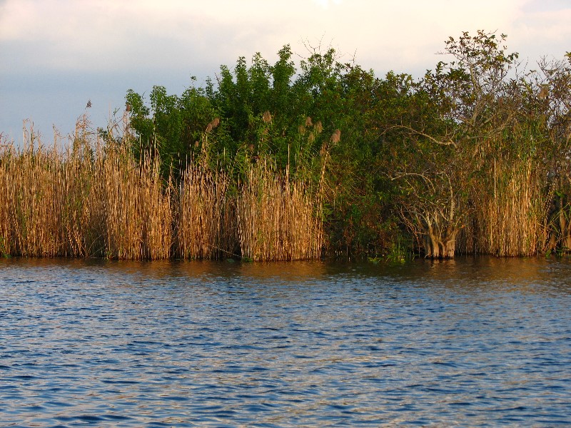 Everglades-Holiday-Park-Airboat-Ride-097