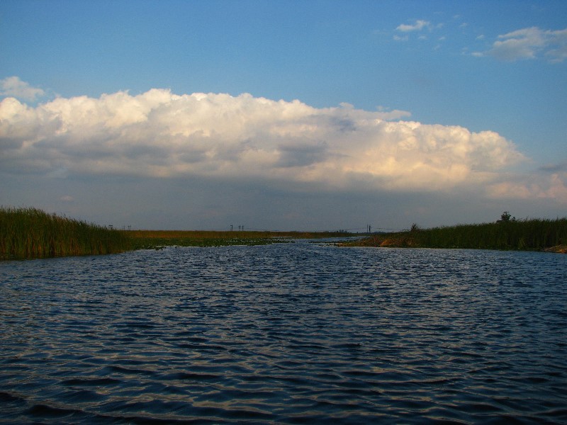 Everglades-Holiday-Park-Airboat-Ride-098