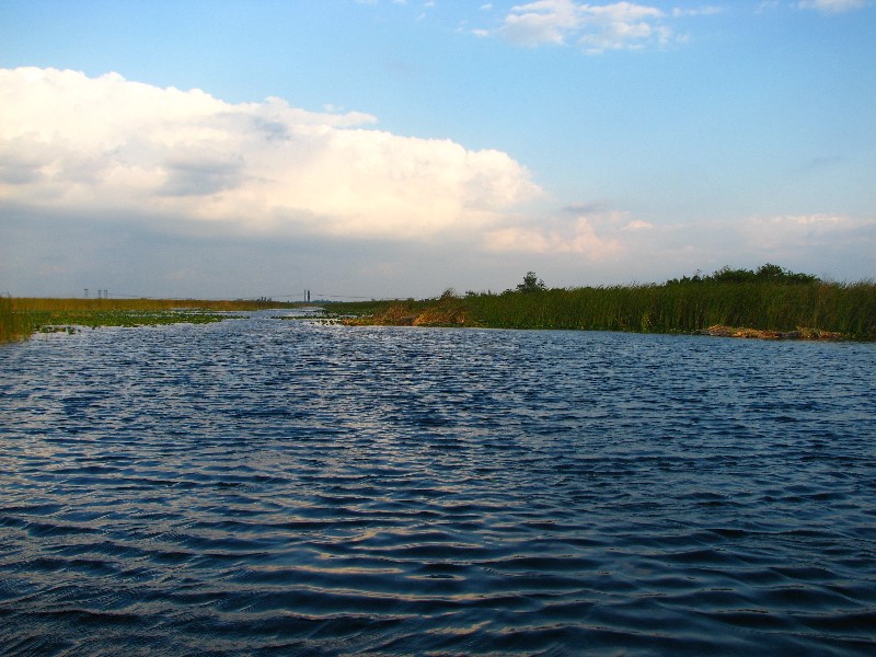 Everglades-Holiday-Park-Airboat-Ride-099