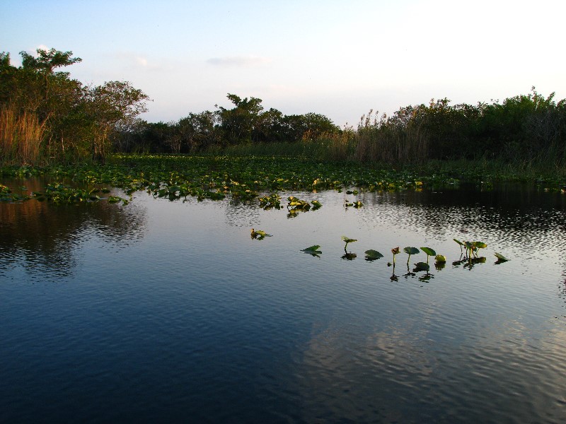 Everglades-Holiday-Park-Airboat-Ride-103