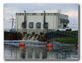 Everglades-Holiday-Park-Airboat-Ride-010