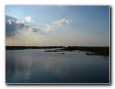 Everglades-Holiday-Park-Airboat-Ride-014